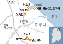 강릉 가는 길 묵을 곳 먹을 것