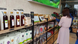 천연향 살리고 티업·액상차… ‘녹차의 반격’