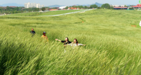 호밀밭의 파수꾼 ?