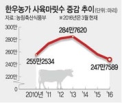 한우값 급등·수입육 밀물·김영란法… 축산농 ‘죽을 맛’