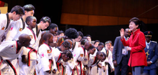 태권도 공연 관람