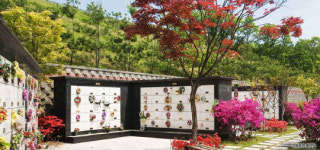 ‘찾기 편한 곳이 明堂’… 묘지문화 달라졌다