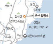영화 도시 부산에 ‘남양주의 3배’ 亞 최대 스튜디오