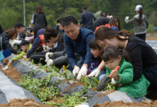 <1사1촌이 살기 좋은 마을 이끈다>1억 기부받아 최신 도정공장… 비용 아끼고 ‘쌀 품질 업그레이드’