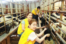 <1사1촌이 살기 좋은 마을 이끈다>‘명예주민’이 된 직원들… “첩첩산중 마을의 活力 될게요”