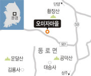 <1사1촌이 살기 좋은 마을 이끈다>봄엔 가지 치고 가을엔 함께 수확…오미자 맛처럼 깊어진 情