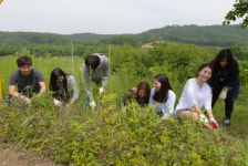 <1사1촌이 살기 좋은 마을 이끈다>“12년째 찾는 민통선 마을… 이젠 꼭 와야 할 고향 같아요”