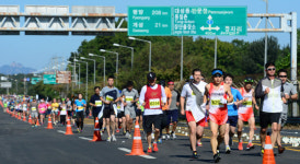 <평화통일마라톤>스포츠 넘어 통일염원의 場… 달리기, 축제가 되다