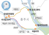 비내섬 1코스 추천… 2시간30분 걸려