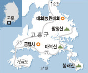 매화 명소 대화농원 가는 길·묵을 곳·먹을거리