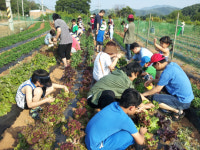 <도농상생 2017-팜스테이>상추 뜯고 ‘지하수 수영장’ 물놀이… 청정농촌서 ‘꿀맛 휴가’