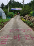 < What >“알몸일 때 진정한 자유” vs “대놓고 나체 활보 망측”