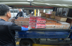 <‘살충제 계란’ 파문>갈팡질팡·구멍숭숭·대충대충… ‘아마추어 農政’의 민낯