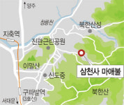 <우리 마을 문화재>잔잔한 미소 머금은 立像… 서울서 가장 오래된 마애불