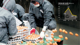 < Consumer >친환경제품도 HACCP도 ‘구멍’… 못믿을 ‘정부 식품안전 인증’