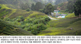 人生 닮은 커피 느끼며… 낯선 도시서 ‘숨은 그림 찾기’