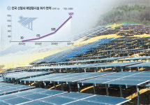 태양광 7년새 48배 우후죽순… 경고음 울린‘脫원전 속도전’