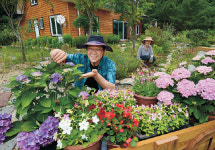 < Fifty+ >쉰 중반 넘어서야 ‘꽃’이 보이기 시작했다