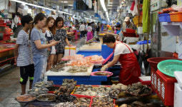 남해안, 자갈치·기장시장 제철해산물… 통영꿀빵·충무김밥 필수