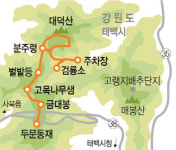 정선 & 태백 ‘야생화기행’ 가는길 묵을곳 먹을것