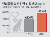 ‘펫보험’ 성장 막는 동물병원 ‘고무줄 진료비’