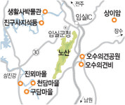 임실 여행정보