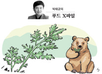 (주)유왕 | 쑥, 보릿고개 넘겨준 효자 봄나물