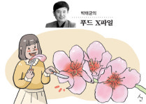 식용꽃, 비빔밥·샐러드·케이크 재료