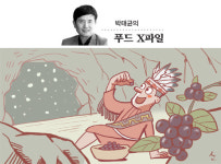 ‘블랙푸드’ 아로니아, 혈압·혈당에 ‘굿’