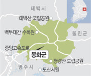 <신재생에너지 정책의 역설>‘태양광발전소 건립’ 봉화, 축구장 105개 규모 산림 날아갈 판