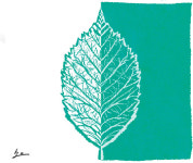 <맹난자의 한 줄로 읽는 고전>亨吾道 以道之