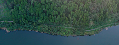 물오른 호수 옆 갈대숲 길 따라… 짙어지는 남도의 秘境