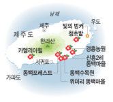 <박경일기자의 여행>삭풍을 뚫고… 폭죽처럼 터진 애기동백