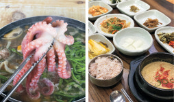 <편식주의자의 미식여행>산낙지 칼국수·꺼먹지 정식… 눈과 입이 즐거운 ‘포구의 별미’