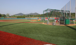 명색이 프로인데 2700만원… 열정만으론 배고프다