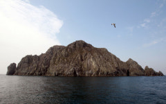 <10문10답>무인도 2878개 중 44% 사유지… 물건 적지만 경매시장 나오기도