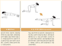 플랭크·팔다리 뻗기 통해 근육 늘리면 허리·배·골반 강화해 ‘보호대’ 찬 효과