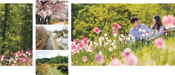 가깝고 한적한 ‘자연쉼터’… ‘거리’ 지키며 힐링