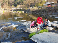 <로컬인사이드>불법 평상 Clear~ … 남한산성 계곡 1만7950㎡에 벚꽃길·습지공원