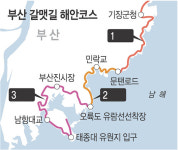 낙동강 생태·동래 역사·송도 구름다리… ‘갈맷길 1000리’ 잇는다