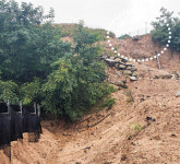 태양광 산사태에… “5년 가꾼 인삼밭이 쑥대밭 됐다”