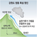 ‘西 태백산맥·東 바다’ 가파른 20㎞따라 눈구름 커져