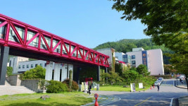 서울예대, 코로나19 확진 속출…학교 폐쇄