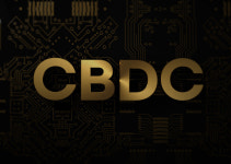 한은, 디지털화폐(CBDC) 모의실험… ‘네이버 vs 카카오’ 입찰 격돌