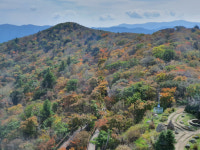 발왕산 생태숲·축령산 편백숲… 자연에서 일상회복 첫발 떼볼까
