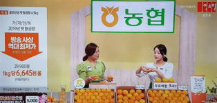 햇살농특산유통 | 귤로장생·햇살바람… ‘통합 마케팅’으로 앞서가는 제주 농산물