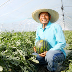 ‘강고집 수박’ 브랜드화… ‘내륙 국산바나나’ 개발