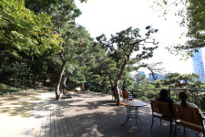 강남 복판에 녹색 숲길 “지친 일상에 힐링·쉼표”