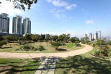 강남 복판에 녹색 숲길 “지친 일상에 힐링·쉼표”