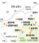 뱀사골 가는 길, 우뚝 선 천년송 여름 한복판 무더위도 쉬어간다